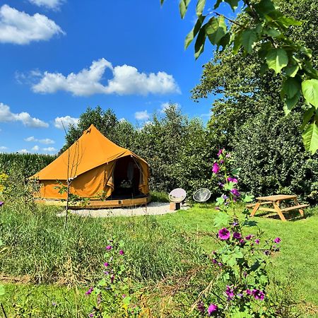 Bell Tent In Een Voedselbos Nederweert-Eind Eksteriør bilde